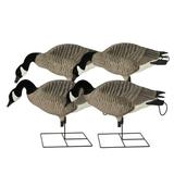 GreenHead Gear Pro-Grade XD Canada Goose Hunting Decoys - Feeder 4 Pack