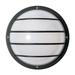 Nuvo Lighting 2 Light Poly Round Cage Wall/Flush