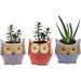 India Meets India Ceramic Planter Owl Shaped [Multi-Color - 3.5 inch] - Ceramic Flower Pot/Indoor/Outdoor Pot Set of 3 - by Awarded Indian Artisan