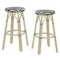 Furniture of America Binde Aluminum 30-inch Patio Barstool in Brown (Set of 2)