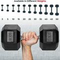 Hex Dumbbells PVC Coated Cast Iron Hex Black Dumbbell Free Weights for Exercises 30lbs