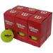 Wilson EXD Platform Tennis Balls (Dozen)