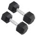 Body Sport Rubber Encased Hex Dumbbell - Set of Two - Black/Metal - 20 Pounds