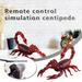 Kayannuo Christmas Clearance Toys RC Realistic Scorpion Toy Infrared Remote Control Fake Scorpion Giant Scorpion