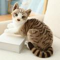 Kayannuo Toys Details Cat Simulation Plush Animals Kids Birthday Party Gifts Cat Doll Cats Toys