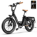 EUY 20 Fat Tire Folding Electric Bicycle for Adults 750W Motor 48V20Ah Removable Lithium Battery Black