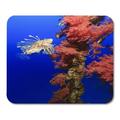LADDKE Lionfish Swim Next to Vivid Red Tree Corals Growing Encrusted Chain of Old Channel Marker Buoy Deep Blue Mousepad Mouse Pad Mouse Mat 9x10 inch