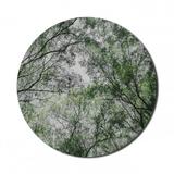 Nature Mouse Pad for Computers Tree Branch in Spring Season Fairy Jungle Growth Nature Look up Wood Scene Photo Print Round Non-Slip Thick Rubber Modern Mousepad 8 Round Green by Ambesonne