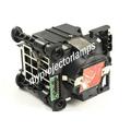 Digital Projection dVision 30 sx+ XB Projector Lamp with Module