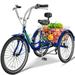 Lilypelle Adult Tricycles 7 Speed 20/24/26 inch Three Wheel Bike Cruiser Trike with Low-Step Through Frame/Large Basket for Men Women Seniors