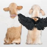 2Pcs Pet Halloween Costume Cosplay Angel Devil Black White Wing for Dog Cat Rabbit Piggy Gift in Halloween Party Birthday Christmas