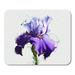 Watercolor of Purple Iris Closeup on Sketch Paint Runs Mousepad Mouse Pad Mouse Mat 9x10 inch