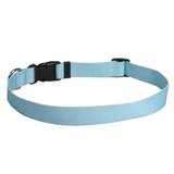Yellow Dog Design Light Blue Simple Cat Collar 3/8 Wide and Fits Necks 8 to 12 Cat