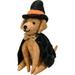 PBK Halloween Decor - Witch Costume Felt Puppy Dog Critter