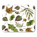 KDAGR Brown Gold Watercolor Fall Leaves Hand Green and Yellow Autumn Mushrooms Pine Cone Acorn Colorful Botany Mousepad Mouse Pad Mouse Mat 9x10 inch
