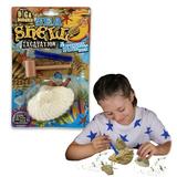 Dig & Discover - Shell Excavation from Deluxebase. Shell Fossil Digging Kit. Kids Science Kit and Fossil Discovery Toys. Excavation Kits for Kids Educational Toys and Kids Party Favors.