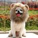 Dog Lion Mane Costume Pet Wig Clothes for Halloween Party Lion Wig for Small to Medium Sized Dogs Lion Mane Funny Dogs