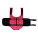 Prettyui Pet Pink Bone Life Jacket Swimming Suit Medium