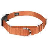 Country Brook PetzÂ® Coral Durable Nylon Martingale with Deluxe Buckle - Made in the USA Extra Small