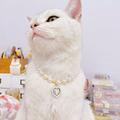 Ayyufe Pet Collar Dress Up Faux Pearl Design Long Lasting Pet Cat Imitation Pearl Necklace with Pendant Decor