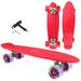 Skateboard Cruiser Complete - 27 inch Skateboards with LED Light Up Wheels with All-in-one T-Tool for Beginners