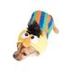 Pet Krewe Large Bert Costume - Sesame Street Bert Dog Costume - Fits Small Medium Large and Extra Large Pets - Perfect for Halloween Christmas Holiday Parties Photoshoots Gifts for Dog lovers