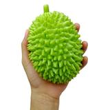 Liliz Cute Fruit Rubber Durian Squishy Toy Colorful Fruits Decompression Tool