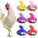 6 Pieces Chicken Hats for Hens Tiny Pets Funny Halloween Accessories Feather Top Hat with Adjustable Elastic Chin Strap Rooster Duck Parrot Poultry Stylish Show Costume