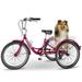 MOPHOTO 20 Adult Tricycle Bike 3 Wheeler Bicycle 7 Speed Portable Tricycle Rose-red