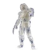 Hiya Toys Alien vs. Predator: Invisible Celtic Predator 1:18 Scale Action Figure Multicolor