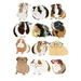 Guinea Pigs In Glasses Poster Print - Hanna Melin (18 x 24)