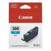 Canon 300 C Cyan Standard Yield Ink Cartridge (4194C002)