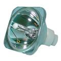 Lutema Economy Bulb for Optoma EzPro 761 Projector (Lamp Only)