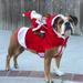 Angmile Santa Christmas Dog Costumes Santa Claus Riding on Pet Suit Dressing up Clothing for Small Large Dogs Cats Clothes Pet Outfit