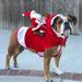 Christmas Santa Cosplay Small Larges Dog Clothes Apparel Party Dressing Up Clothing Pet Costume