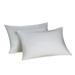 Temperloft Down Dreams King Pillow Set of 2 found at Many Hilton Hotels