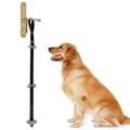 Daxin Upgraded Puppy Bells Dog Doorbells for Door Knob Training Potty Great Dog Bells Adjustable Door Bell Pet Dog Supplies