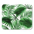 Leaf Leaves of Palm Tree on White Background Pattern Green Mousepad Mouse Pad Mouse Mat 9x10 inch