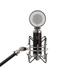 Artesia AMC-20 Studio Large-Diaphragm Condenser Microphone + Shock Mount + Pop Filter & 8 XLR Cable