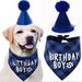 Dog Birthday Bandana Triangle Scarf and Hat for Dog Puppy Birthday Party Decoration