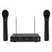 Rockville RWM1202VH VHF Wireless Dual HandHeld Microphone System w/ Mic Receiver