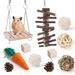 GadgetVLot Hamster Chew Toys Set Rats Chinchillas Gerbils Tooth Care Wooden Natural Molar Supplies