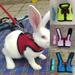 Cheers.US Rabbit Hamster Chest Strap Vest Harness Walking Leash Traction Rope Pet Supply Adjustable Comfortable Wear-resistant for Party Daily Wear Traveling