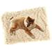 Lieonvis Fluffy Dog Blanket Soft Warm Cat Blanket Double Layer Reversible Pet Throw Blanket for Dogs Puppies Cats Kitten Machine Washable Pet Sleep Mat for Bed Couch Sofa Travel (Beige)