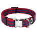 Regal Dog Products Dog Collar with Metal Buckle & D Ring - Fits Small Medium Large Dogs