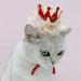 Pet Birthday Hat Dogs Cats Holiday Party Hat Headwear Costume with Lace Accessories and Adjustable Headband for Small Medium Dogs Cats Pets Baby - Red