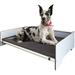 Foreman Waterproof Contemporary Comfort Dog Bed with Backrest - Pet Bed for Dogs and Cats made from Compact Laminate and Anodized Aluminum includes a Dark Grey Mattress XL (L42 x W27 1/2 ) Gray