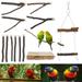 EUWBSSR Parrot Bird Perches Natural Wood Bird Standing Stick Parrot Perch Stand Platform Wooden Exercise Climbing Paw Grinding Toy Birdcage Accessories for Parakeet Parrot Budgie Lovebirds