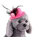 60% Off Clear! SUWHWEA Pet Fall Cap Dog Hat Visor Hat Outdoor Cat Cap Feathers Lace Hat Pet Supplies on Clearance Fall Savings in Season