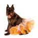 Rubies Pet Shop Boutique Pet Halloween Costume Accessory Candy Corn Tutu For Dog or Cat M/L